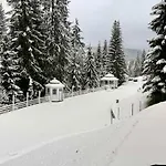 Villa Freeman-4b двоповерховий з кухнею, альтанкою, грилем 6місний *