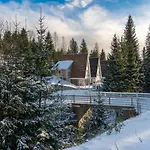 Freeman-4b двоповерховий з кухнею, альтанкою, грилем 6місний * Bukovel