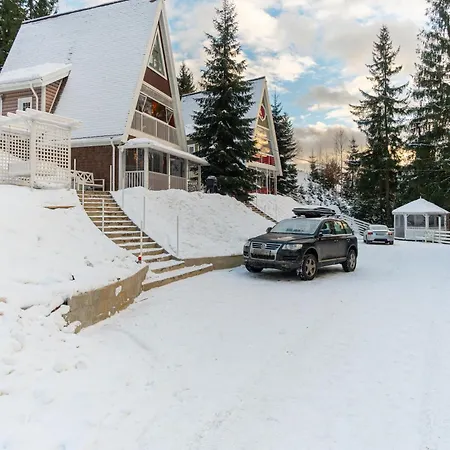 Freeman-4b - двоповерховий у з альтанкою та грилем для 6 гостей *