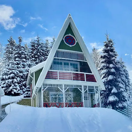 Freeman-4b - двоповерховий у з альтанкою та грилем для 6 гостей