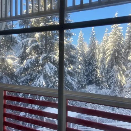 Freeman-4b - двоповерховий у з альтанкою та грилем для 6 гостей Villa Bukovel