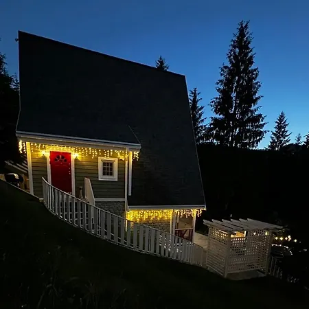 Freeman-4b - двоповерховий у з альтанкою та грилем для 6 гостей Буковель