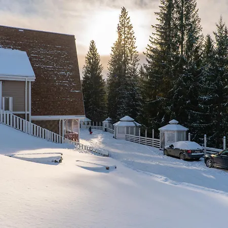 Freeman-4b 6місний двоповерховий з кухнею, альтанкою, грилем Villa Bukovel