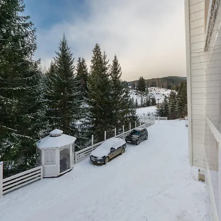 Freeman-4b 6місний двоповерховий з кухнею, альтанкою, грилем Villa Bukovel