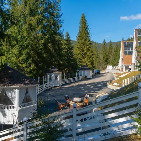 Freeman-4b двоповерховий з кухнею, альтанкою, грилем 6місний Villa Bukovel