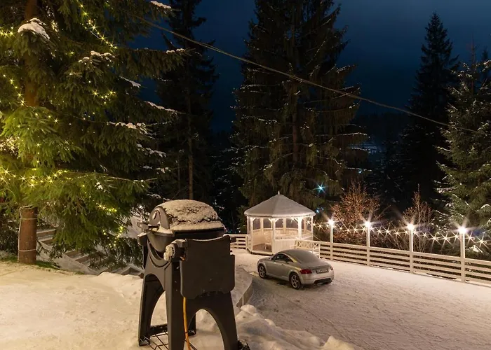 Freeman-4b двоповерховий з кухнею, альтанкою, грилем 6місний Villa