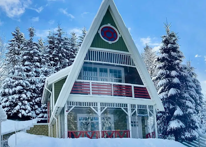 Freeman-4b двоповерховий з кухнею, альтанкою, грилем 6місний