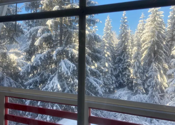 Freeman-4b двоповерховий з кухнею, альтанкою, грилем 6місний Villa Bukovel