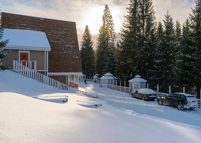 Freeman-4b двоповерховий з кухнею, альтанкою, грилем 6місний Villa Bukovel