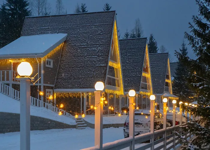 Freeman-4b двоповерховий з кухнею, альтанкою, грилем 6місний