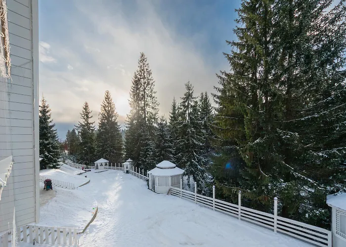 Freeman-4b двоповерховий з кухнею, альтанкою, грилем 6місний Bukovel